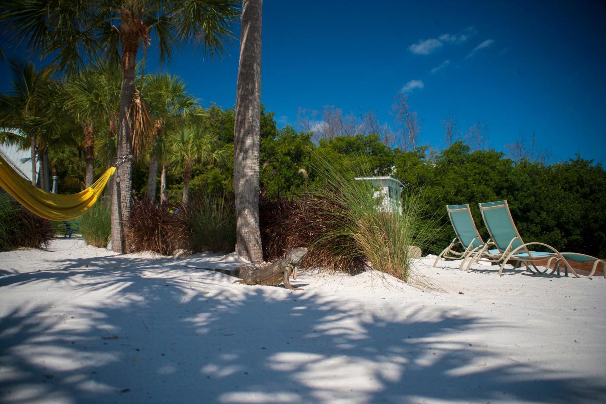 Ibis Bay Resort Key West Oda fotoğraf